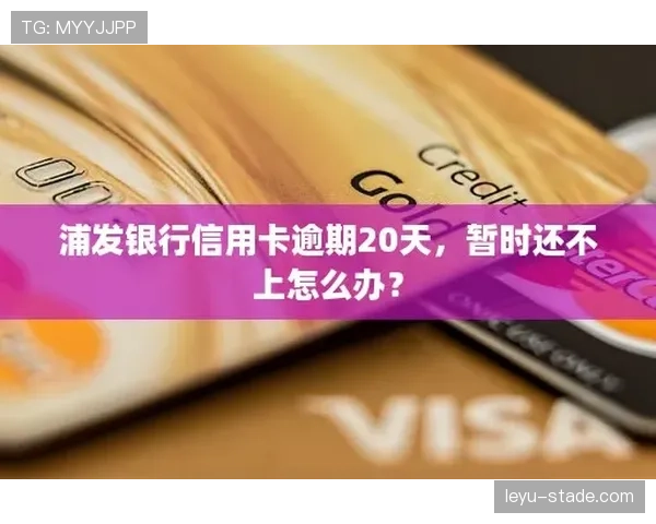 施洋训练完直接去奢侈品店刷卡，这自律和消费反差谁懂啊